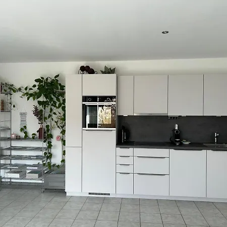 Apartment Mit Terrasse Und Garten In Seenähe Bodman-Ludwigshafen