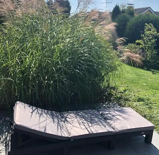 Mit Terrasse Und Garten In Seenaehe *